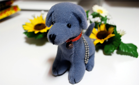 ↑ 初めての一眼レフで最初の一枚