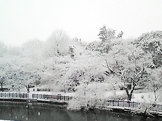 雪の中お仕事です。