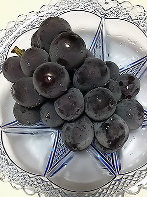 ピオーネいただきました。