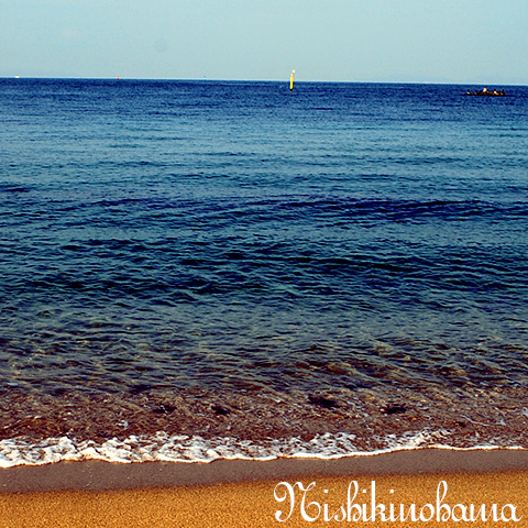 わたつみさまに初詣