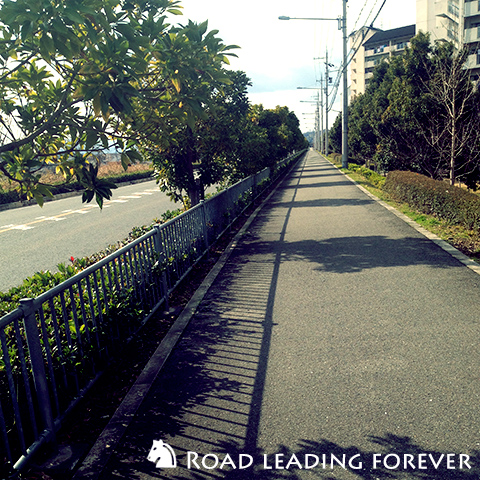 まっすぐ向こうへ