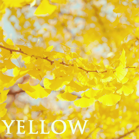 黄色のダウンベスト