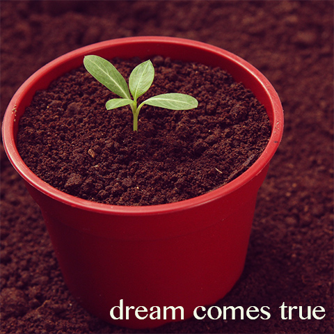 dream comes true