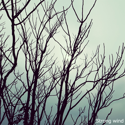 強風