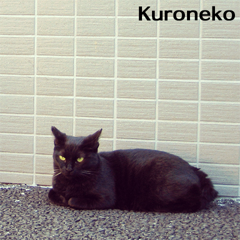 クロネコメール便が廃止されるのね